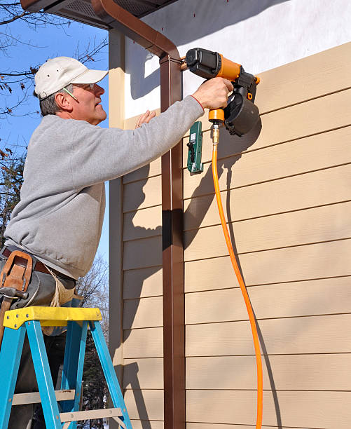 Affordable Siding Repair and Maintenance Services in Wadsworth, IL